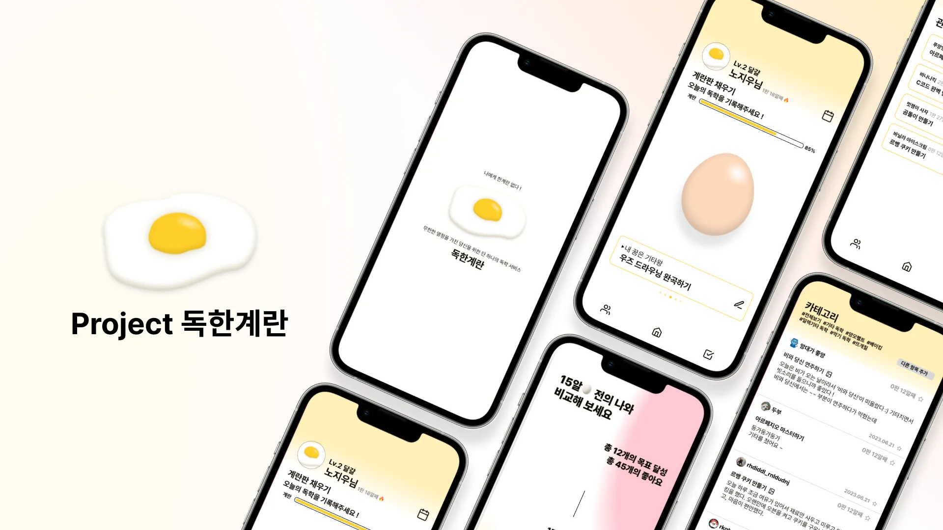 프로젝트 이미지